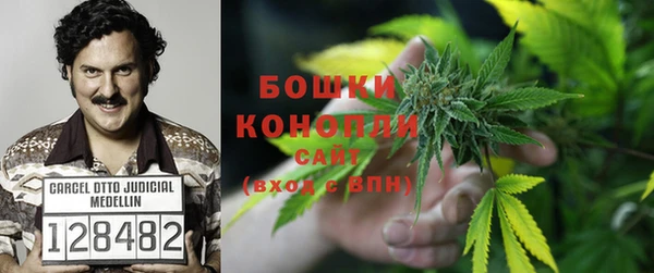 спайс Краснослободск