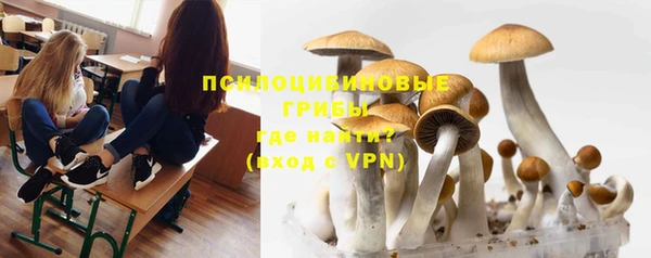 спайс Краснослободск