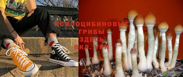 крисы Красноперекопск