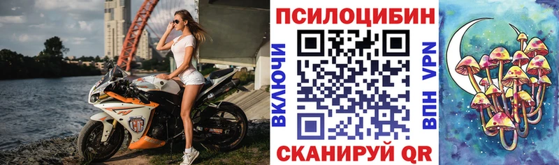 Купить где  Тюмень  Галлюциногенные грибы Psilocybine cubensis