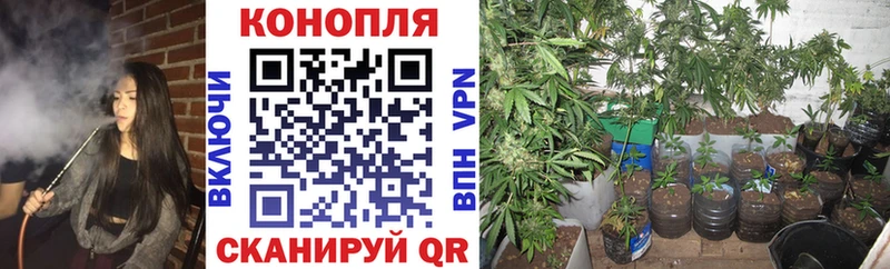 Канабис планчик  Купить закладки  Тюмень 